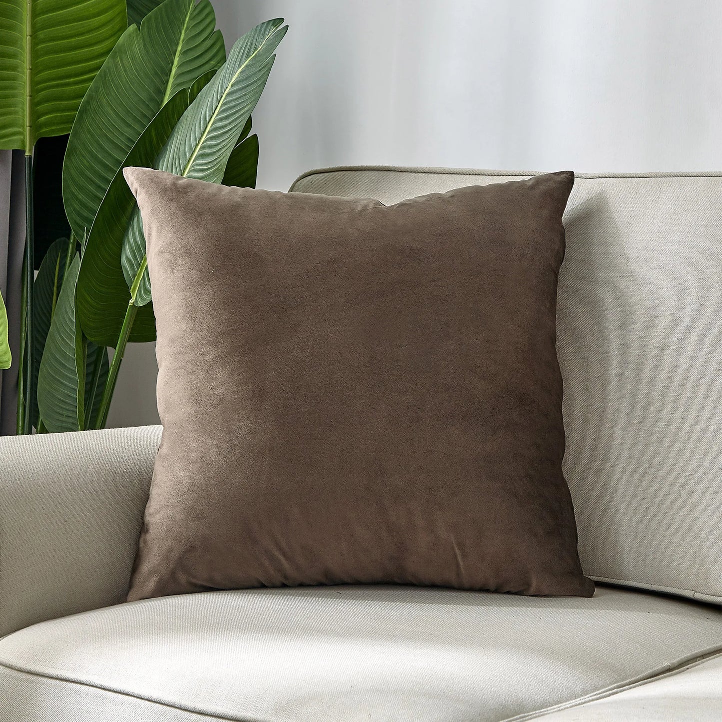 Solid Earthy Velvet Pillow Cover