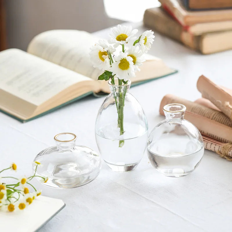 Hydroponic Flower Vase
