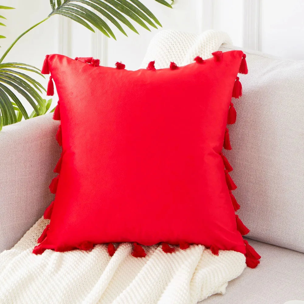 Solid Tassel Plush Pillowcase