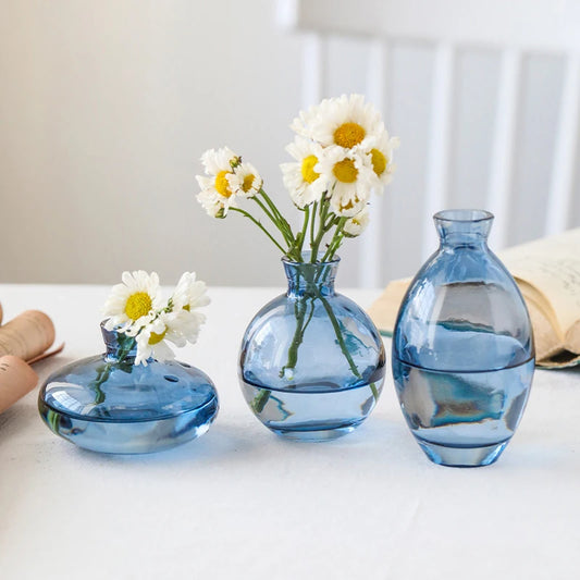 Hydroponic Flower Vase