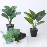 38cm Tropical Banana Tree Potted Artificial Plant